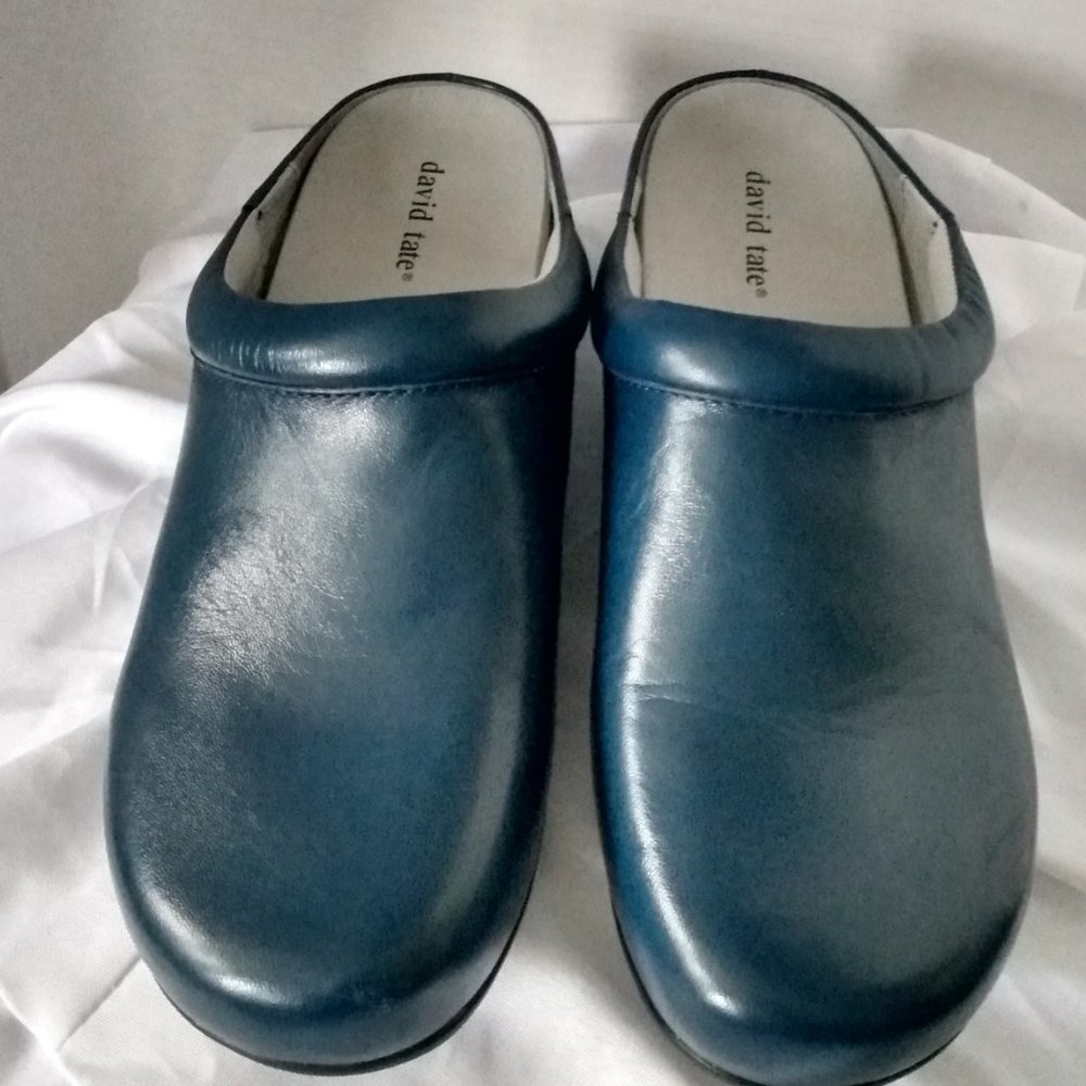 DAVID TATE WOMEN'S BLUE LEATHER CLOGS SIZE 11N